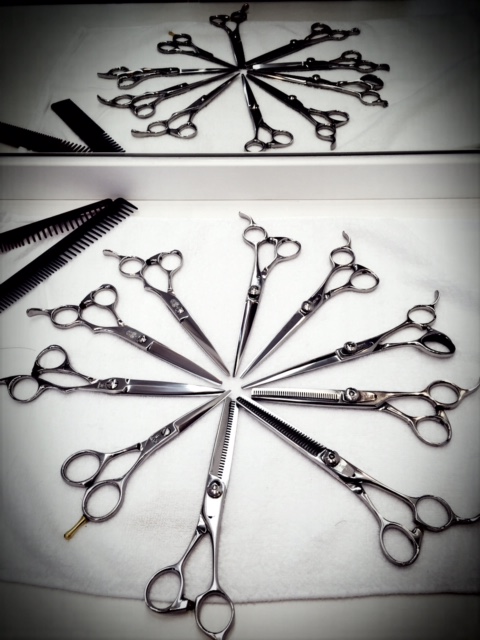 %e3%82%b7%e3%82%b6%e3%83%bc%ef%bc%91