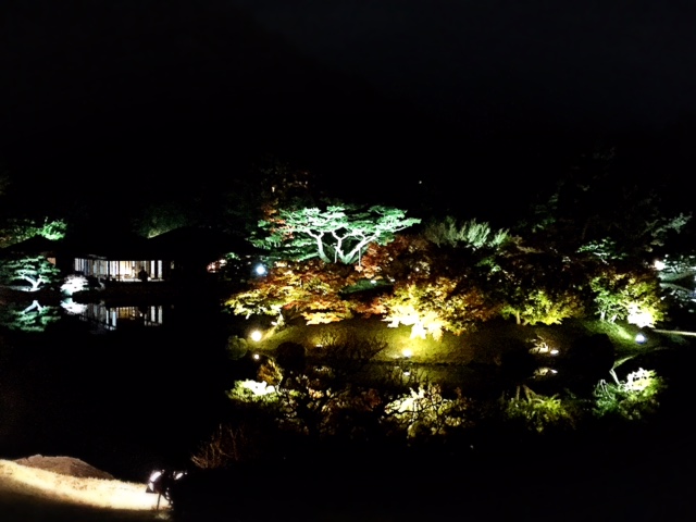 %e6%a0%97%e6%9e%97%e3%83%a9%e3%82%a4%e3%83%88%ef%bc%94